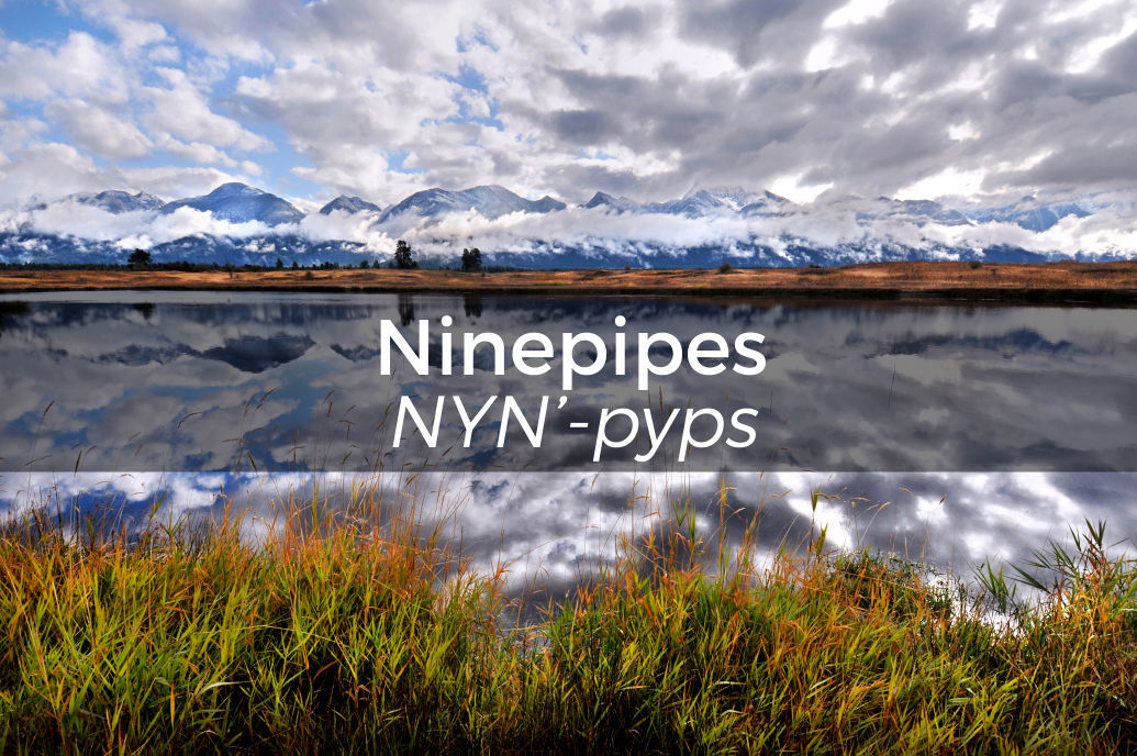 Ninepipes